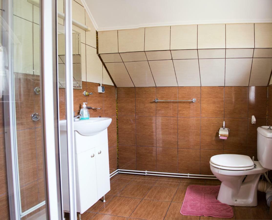 Casa Rares Guest house Sucevita