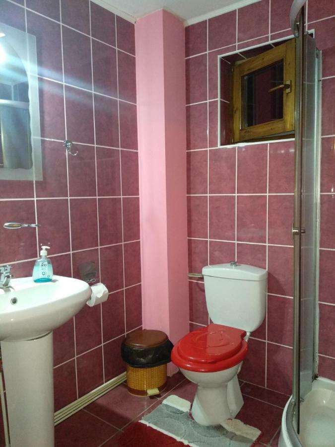 Casa Rares Sucevita
